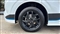 Ford Transit Custom Image 3