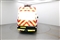Ford Transit Image 6