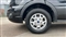 Ford Transit Image 3