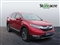 Honda CR-V Image 1