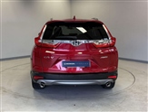 Honda CR-V Image 6