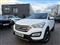 Hyundai Santa Fe Image 1