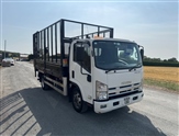 Isuzu Forward Image 1