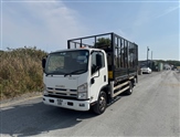 Isuzu Forward Image 3