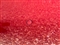 Jaguar XE Image 10