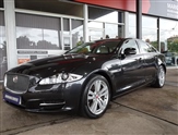 Used Jaguar XJ Series