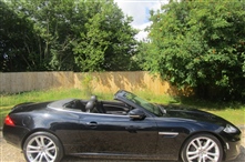 Jaguar XK