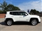 Jeep Renegade Image 2