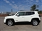 Jeep Renegade Image 6
