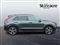 Kia Niro Image 2