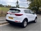 Kia Sportage Image 6