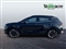 Kia Sportage Image 5