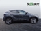 Kia Sportage Image 2