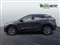 Kia Sportage Image 6