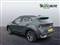 Kia Sportage Image 6