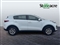 Kia Sportage Image 2