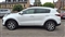 Kia Sportage Image 8