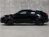 Used Lamborghini Urus