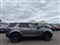 Land Rover Discovery Sport Image 4
