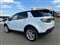 Land Rover Discovery Sport Image 2