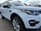 Land Rover Discovery Sport Image 9