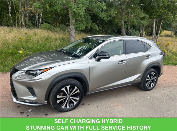 Large image for the Used Lexus NX