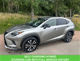 Used Lexus NX