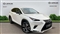 Lexus NX Image 1