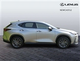 Lexus NX Image 6