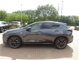 Lexus NX Image 5