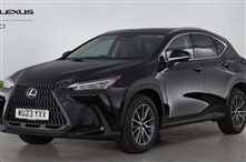 Used Lexus NX