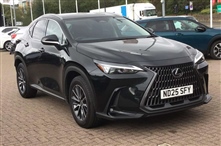 Used Lexus NX