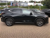 Lexus NX Image 2