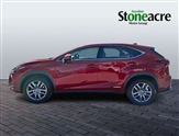 Lexus NX Image 5