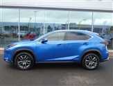 Lexus NX Image 6