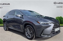 Used Lexus NX