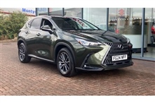 Used Lexus NX