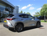 Lexus NX Image 5