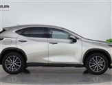 Lexus NX Image 4