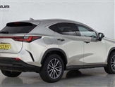 Lexus NX Image 5