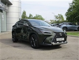 Lexus NX Image 1