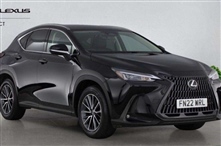 Used Lexus NX