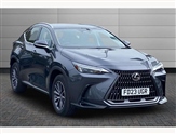 Lexus NX Image 1