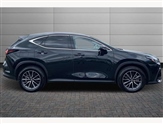 Lexus NX Image 6