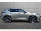Lexus NX Image 6