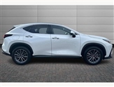 Lexus NX Image 6