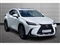Lexus NX Image 1