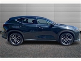 Lexus NX Image 6