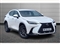 Lexus NX Image 1