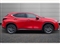 Lexus NX Image 6